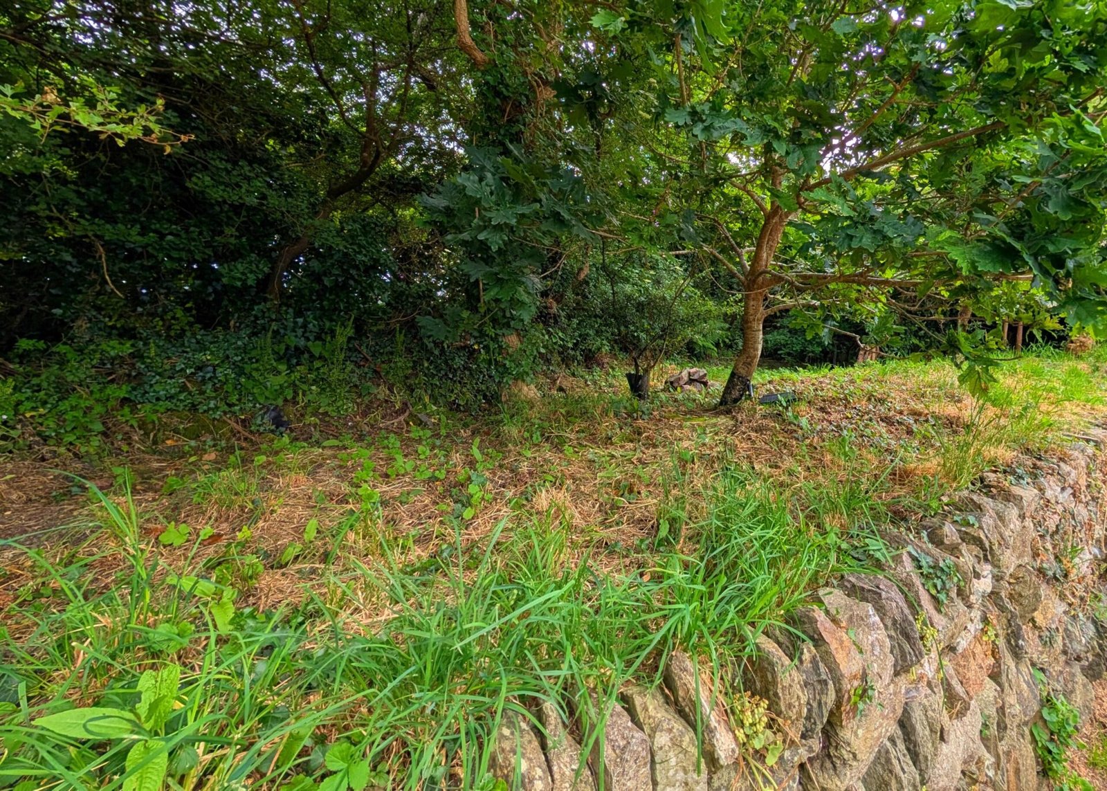 The Unmarked Grave, St Stephens Saltash